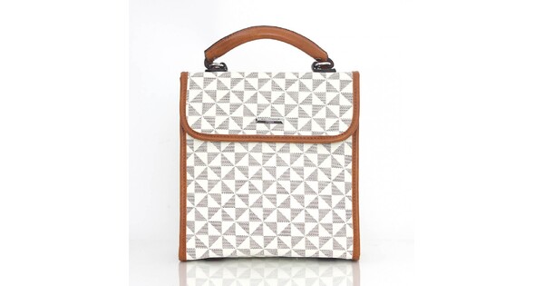 Brown Color BagToBag Backpack