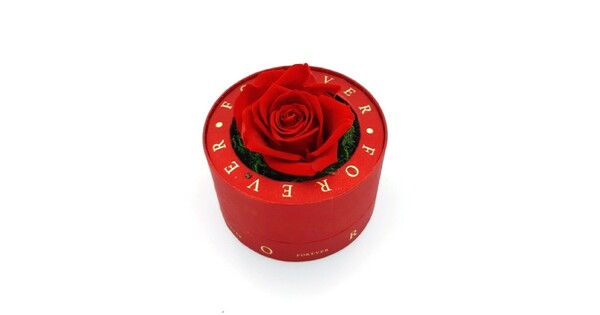 Red Box With A Glass Top And A Red Forever Rose