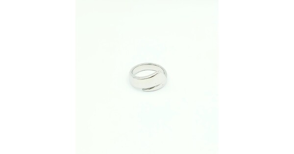 Stainless Steel Polished Ring