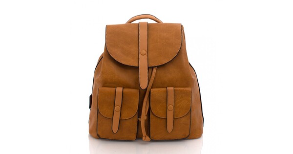 Brown Color BagToBag Backpack