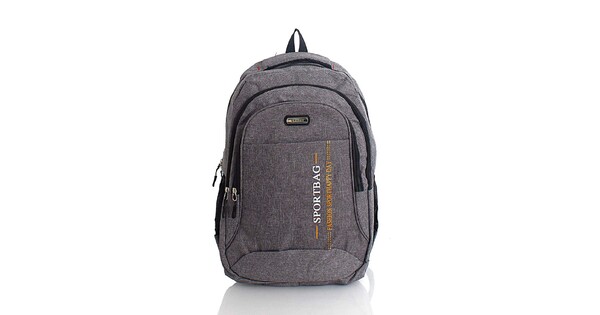 Men`s Grey Color BagToBag Backpack