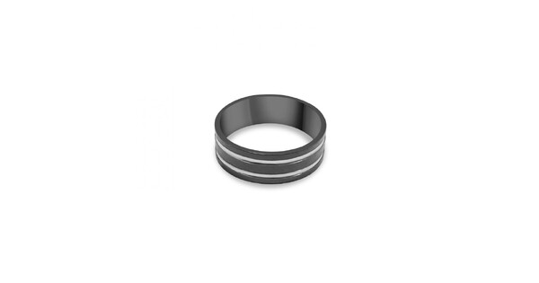 Steel Ring With Segments