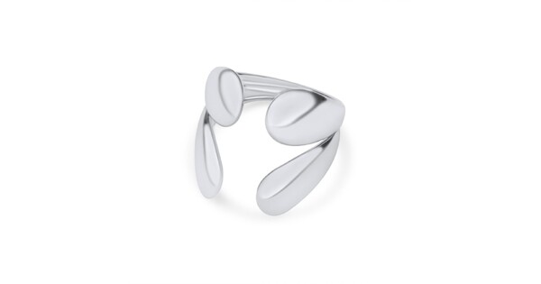 Stainless Steel Polished Ring