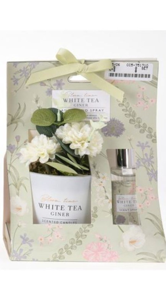 White Tea Ginger Aromatic Spray With Decorative Flower Pot