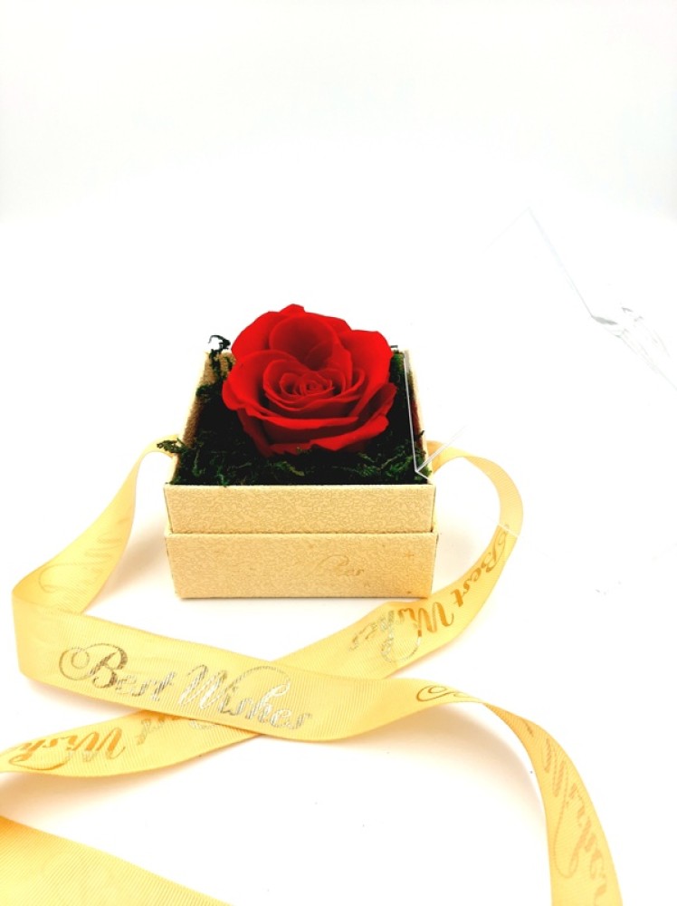 Yellow Box With A Glass Top And A Red Forever Rose