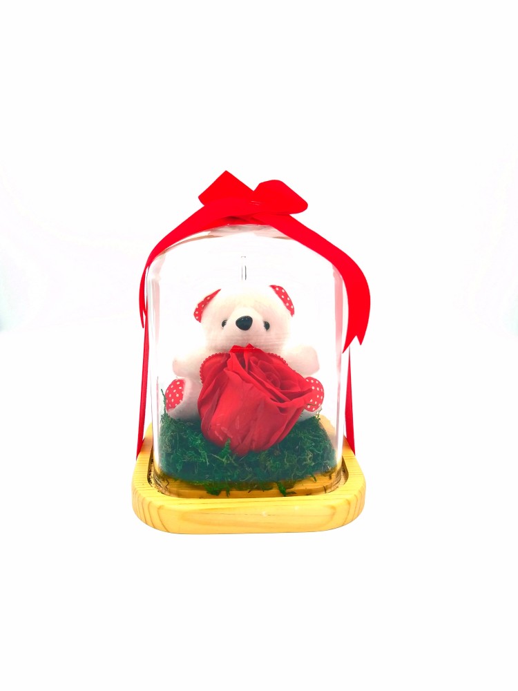 Glass Bell With A Red Forever Rose And A White Teddy Bear.