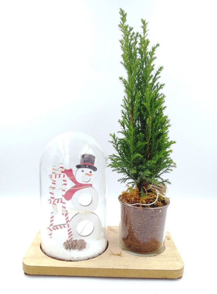 Christmas Decorative Glass Bell With An Wooden Snowman And LED Lights And A Glass Flower Pot With A Small Pine Tree