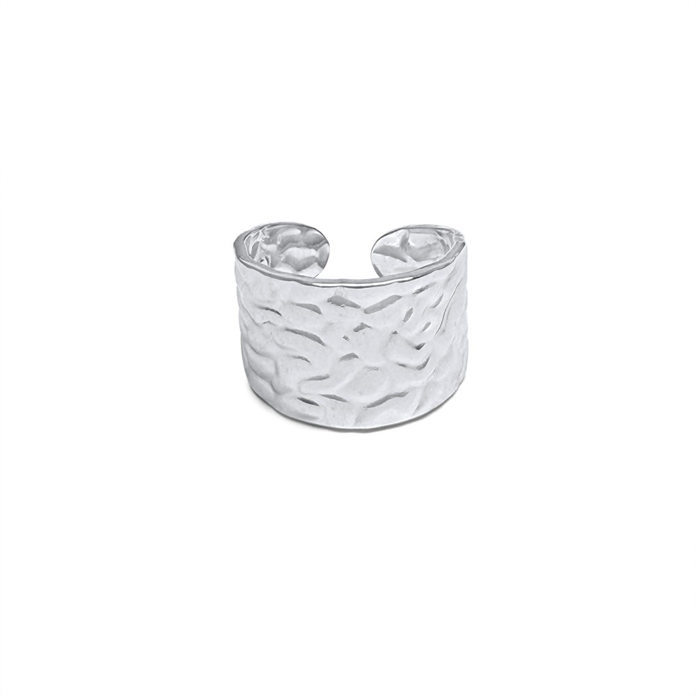 Stainless Steel Ring - 1
