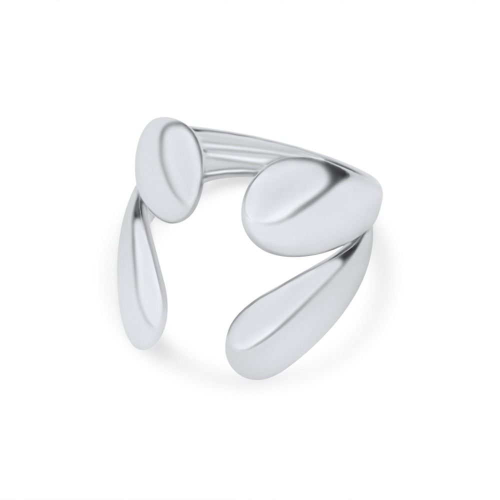 Stainless Steel Polished Ring - 1