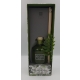 160ml Reed Diffuser With Desert Cactus Flower Fragrant - 1