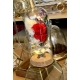 Glass Bell With A Red Forever Rose And LED Lights - 1