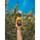 Sea n Sand Micro Λάδι Μεσαίας Προστασίας Spf20 - 2