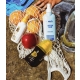 Aloha Tropic Γαλάκτωμα Για Μετά Τον Ήλιο Παράτασης Μαυρίσματος - 2