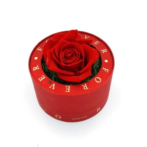 Red Box With A Glass Top And A Red Forever Rose