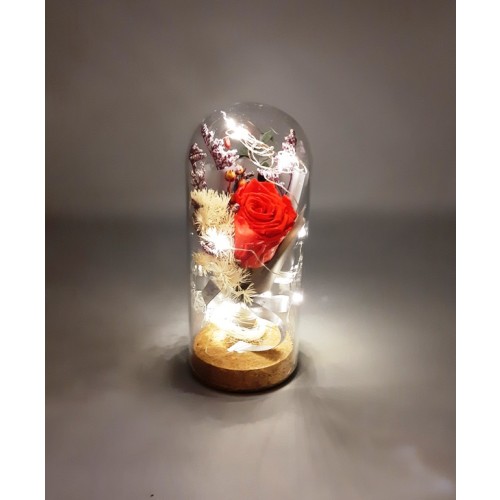 Glass Bell With A Red Forever Rose And LED Lights - 2