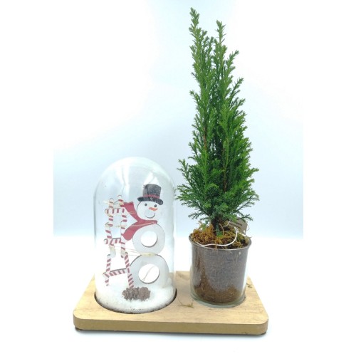 Christmas Decorative Glass Bell With An Wooden Snowman And LED Lights And A Glass Flower Pot With A Small Pine Tree - 3