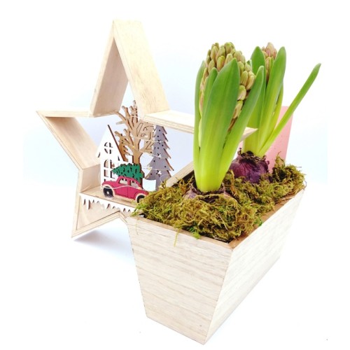Wooden Christmas Star Decoration With LED Lights And A Wooden Flower Pot With Two Flower Bulbs