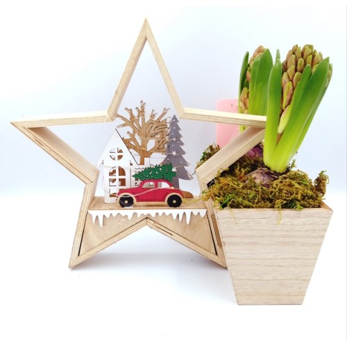Wooden Christmas Star Decoration With LED Lights And A Wooden Flower Pot With Two Flower Bulbs - 2