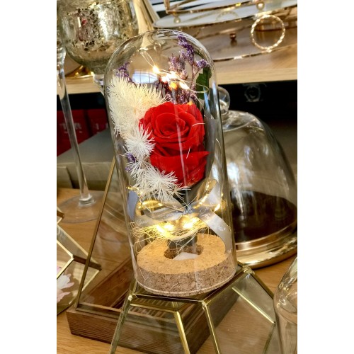 Glass Bell With A Red Forever Rose And LED Lights