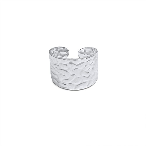 Stainless Steel Ring